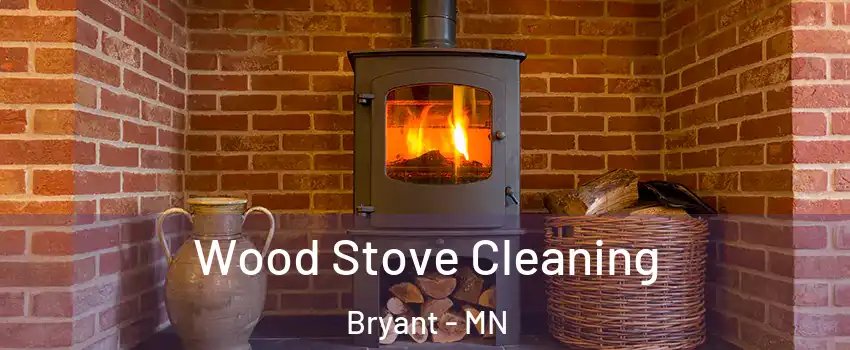 Wood Stove Cleaning Bryant - MN