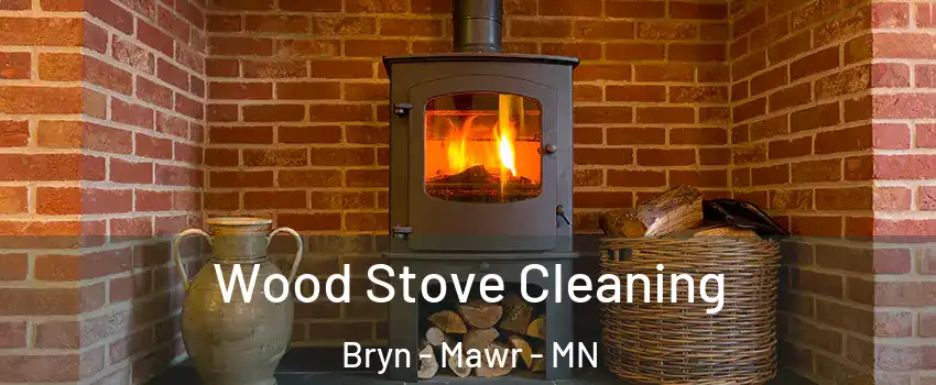 Wood Stove Cleaning Bryn - Mawr - MN