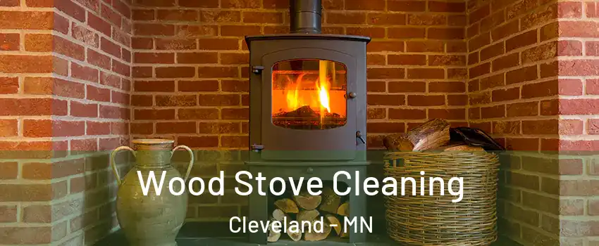 Wood Stove Cleaning Cleveland - MN