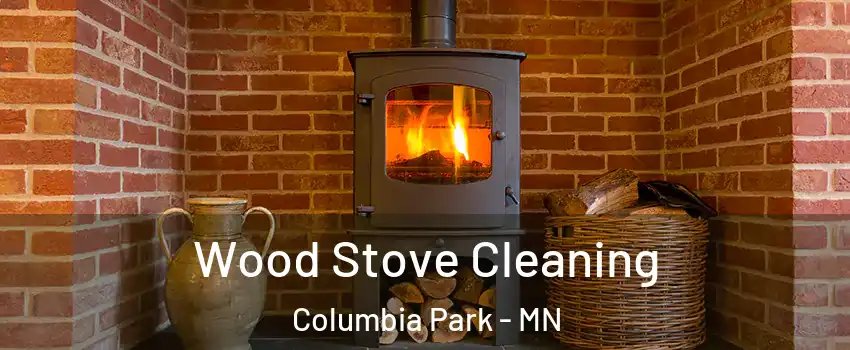 Wood Stove Cleaning Columbia Park - MN