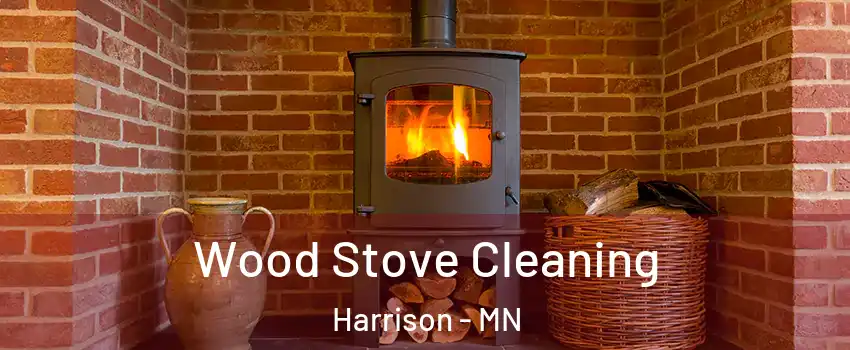Wood Stove Cleaning Harrison - MN