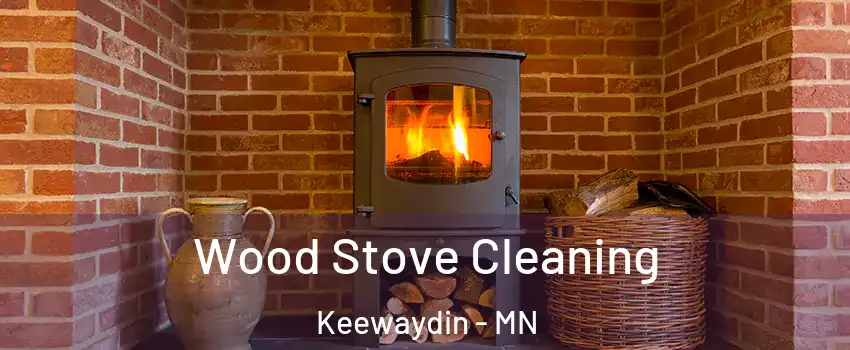 Wood Stove Cleaning Keewaydin - MN