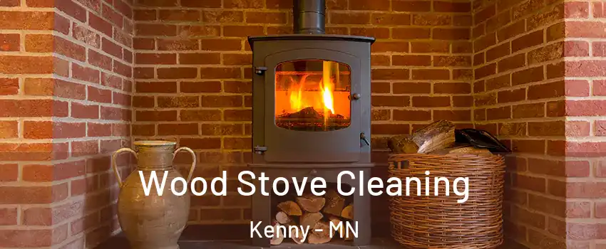 Wood Stove Cleaning Kenny - MN
