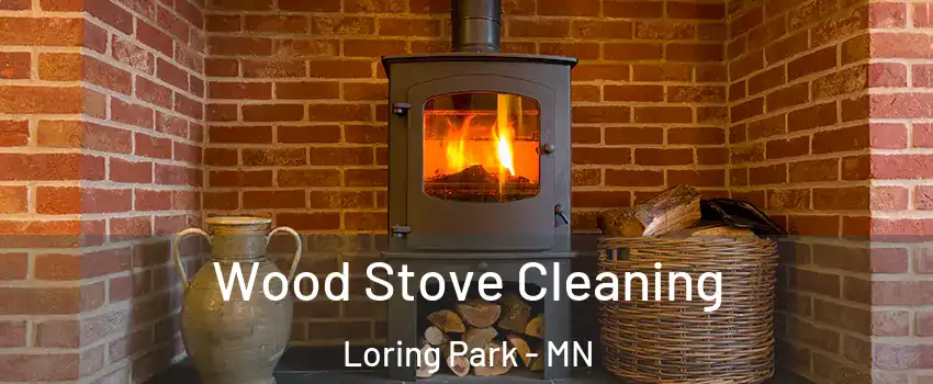 Wood Stove Cleaning Loring Park - MN