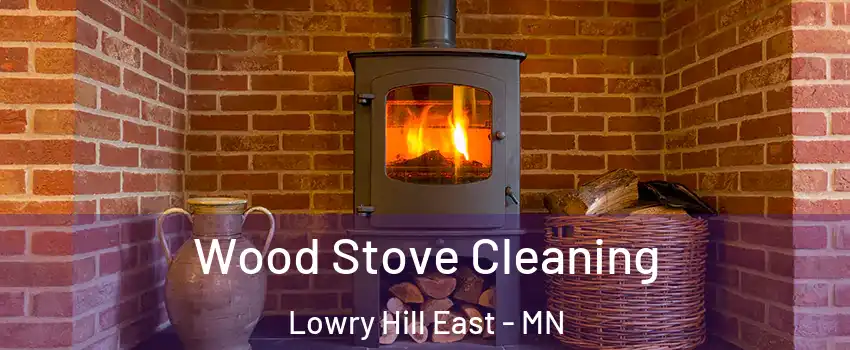 Wood Stove Cleaning Lowry Hill East - MN