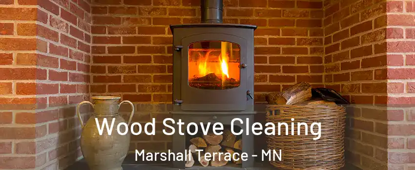 Wood Stove Cleaning Marshall Terrace - MN