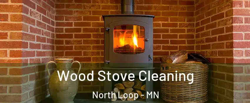 Wood Stove Cleaning North Loop - MN