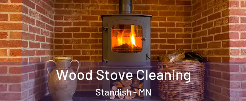 Wood Stove Cleaning Standish - MN