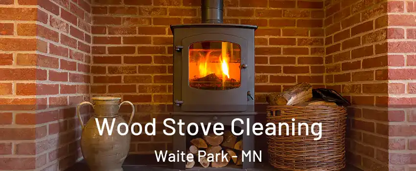 Wood Stove Cleaning Waite Park - MN