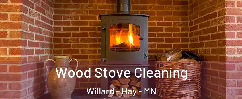 Wood Stove Cleaning Willard - Hay - MN