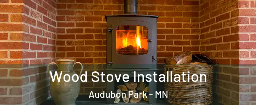 Wood Stove Installation Audubon Park - MN