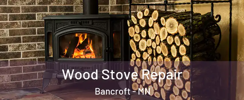Wood Stove Repair Bancroft - MN