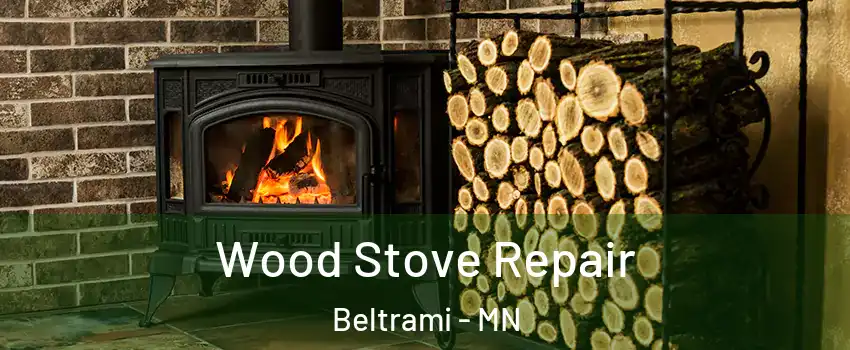 Wood Stove Repair Beltrami - MN