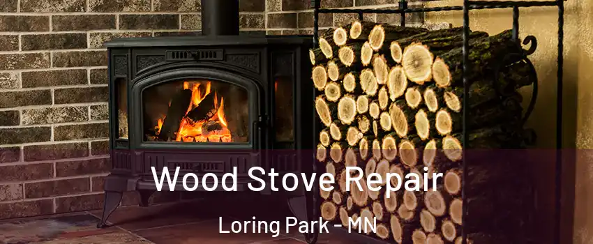 Wood Stove Repair Loring Park - MN