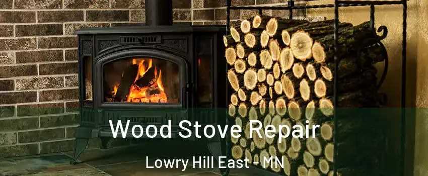 Wood Stove Repair Lowry Hill East - MN