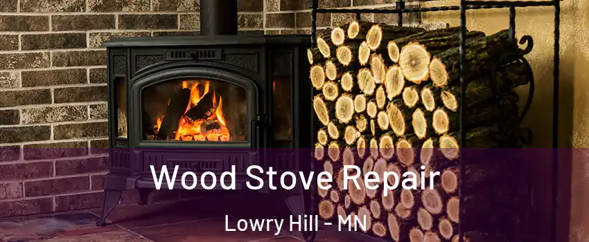 Wood Stove Repair Lowry Hill - MN